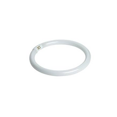 TCP Tcp 3203251k t6 circline fluorescent lamp 32 watt 9 in. diameter