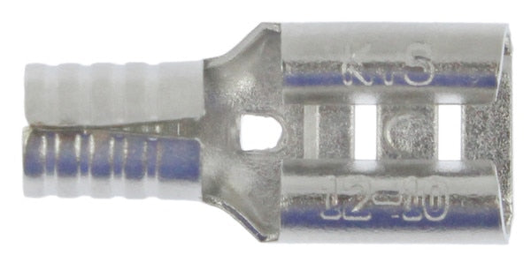 285446353.jpg