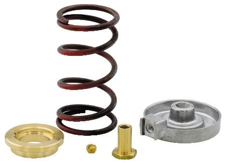 JOHNSON CONTROLS Johnson Controls VG7000-1002 Valve Spring Kit 4 To 8 psig 1/2 in. or 3/4 in.