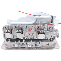 RINNAI Rinnai 106000104 Burner Unit Assembly, Ru98/80 I/E