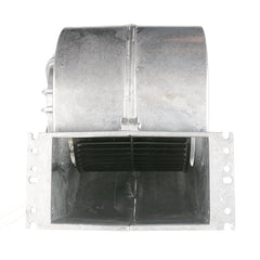 286636105.jpg