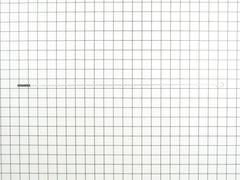286643009.webp