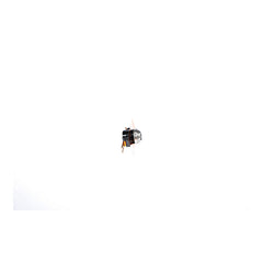 288123157.webp