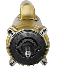 HAYWARD Hayward SPX1620Z1M Motor Threaded Shaft 2.5HP 230V