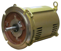 PENTAIR Pentair 071363S 3-Phase 10 HP Motor Replacement C-Series Commercial High Performance Pool and Spa Pump