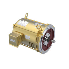 PENTAIR Pentair 071363S 3-Phase 10 HP Motor Replacement C-Series Commercial High Performance Pool and Spa Pump