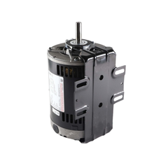 REGAL REXNORD Regal Rexnord C666 Century Fan and Blower Motor 3/4 HP 1 Ph 60 Hz 208-230/115 V 1800 RPM J56None Frame DP