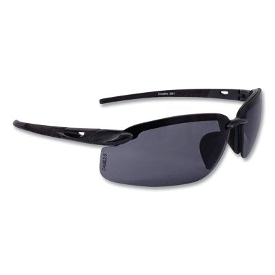 RADIANS 2961 SAFETY GLASSES