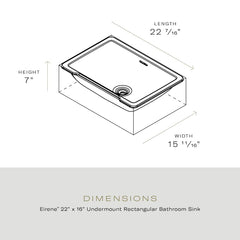 ROHL Rohl ERUB2216RTWH Eirene 22 inches x 16 inches Undermount Rectangular Lavatory Sink