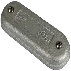 293727905.jpg