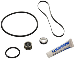 HAYWARD Hayward SPXHKIT2 Quick Fix Kit, Super II Pump