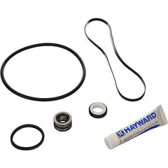 HAYWARD Hayward SPXHKIT2 Quick Fix Kit, Super II Pump