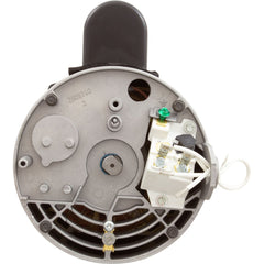 REGAL BELOIT Regal Beloit B2853V1 Pool Pump Motor, Century, 1.0hp, 115/230v, 1-Spd, 56YFr, SQFL, Uprated