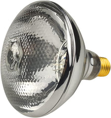 SATCO-NUVO Satco-Nuvo S4885 Incandescent Shatter Proof Lamp 250 W