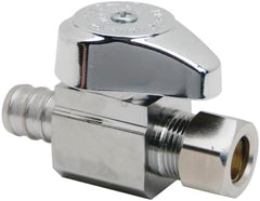 293732005.jpg