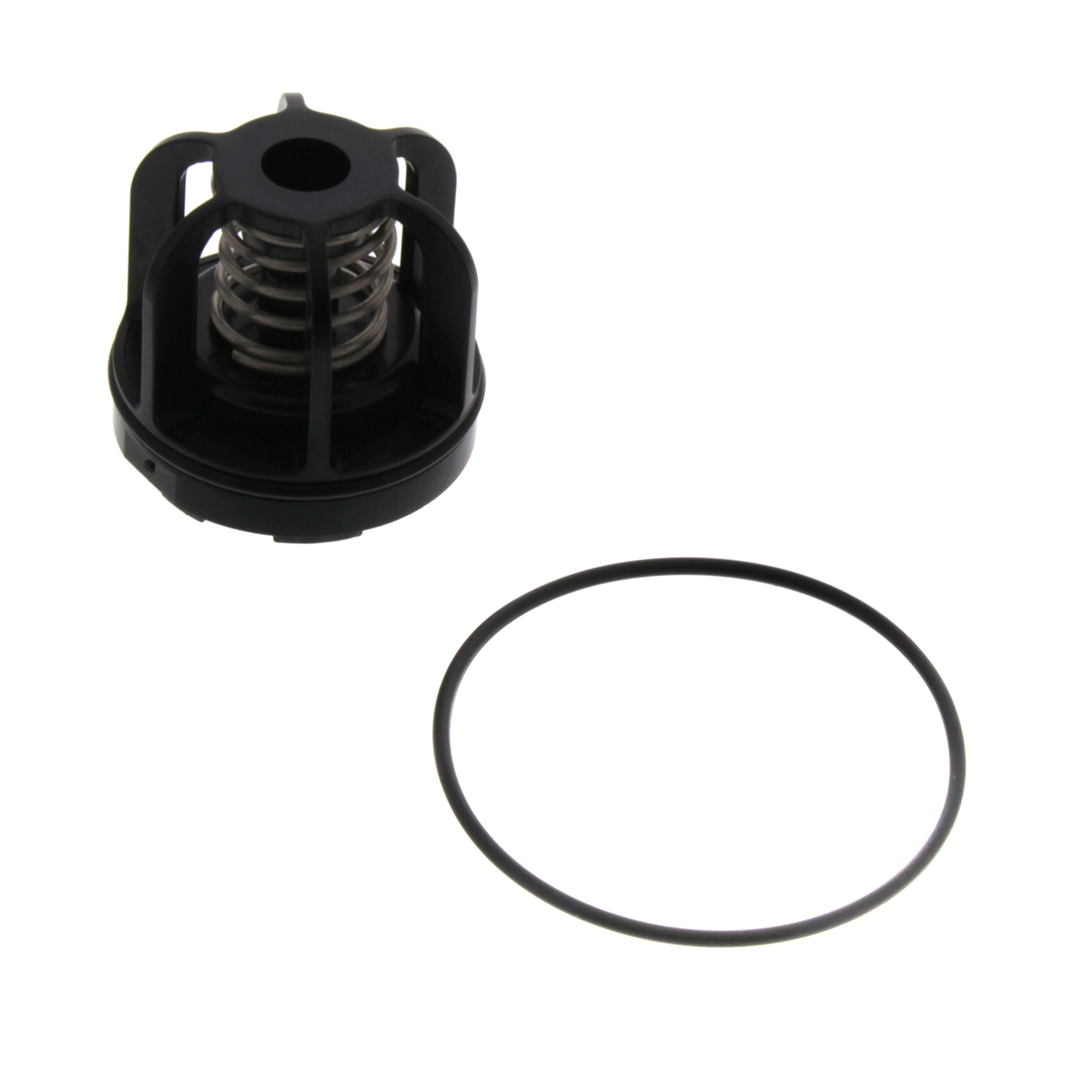 WATTS Watts 0888520 Series rk-009 3/4 in. check valve repair kit