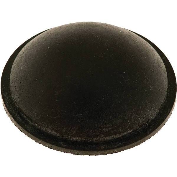 293732913.jpg