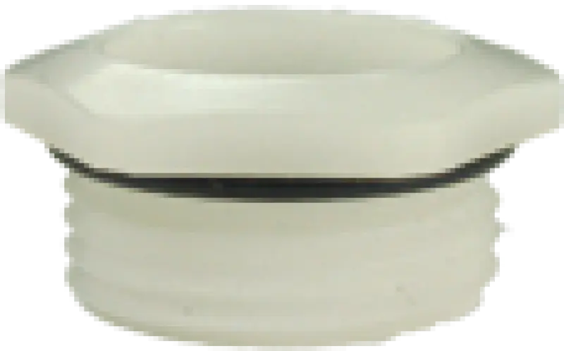 293732919.webp