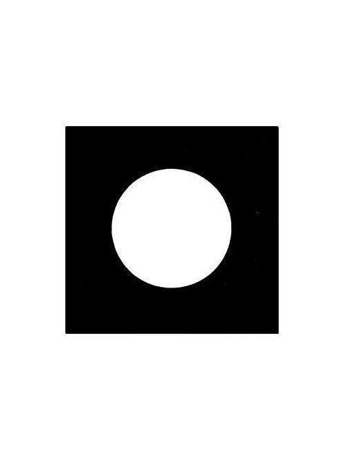 293842365.jpg