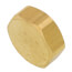 UPONOR Uponor Wirsbo A2080020 Brass Manifold Loop End Cap, R20