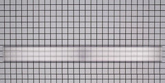 293858605.webp