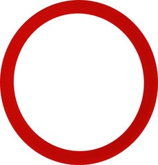 294682071.jpg