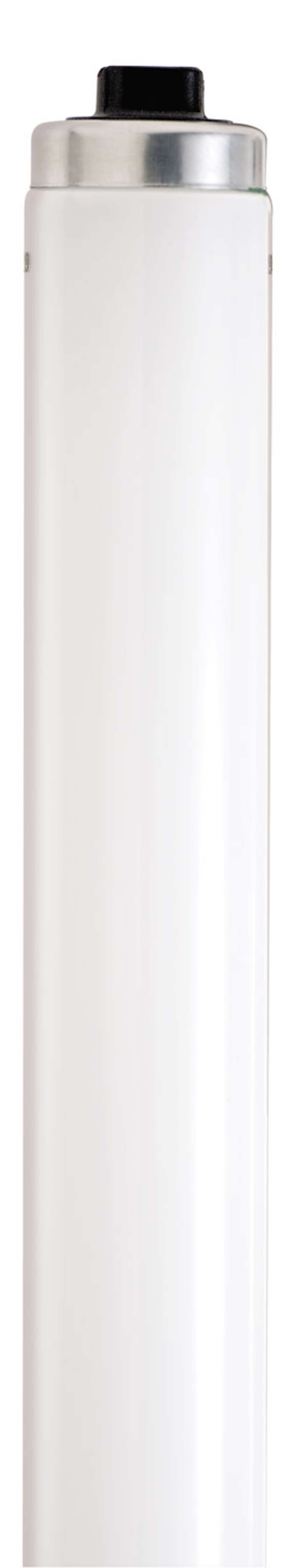 SATCO Satco S26670 F48T12/CW/HO/ENV 60 Watts