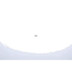 294986581.gif