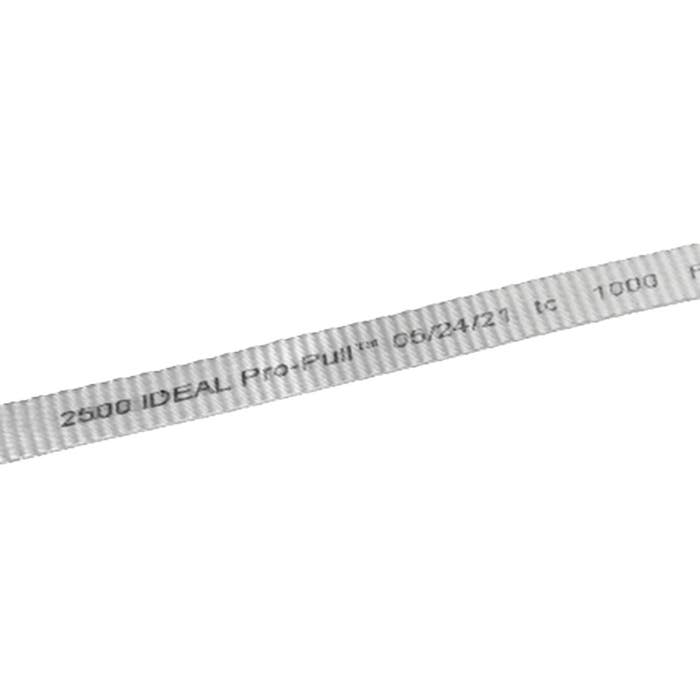 295185356.jpg