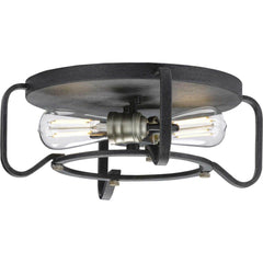 PROGRESS LIGHTING Progress Lighting P350116-071 Foster Collection 16 inches Two-Light Flush Mount