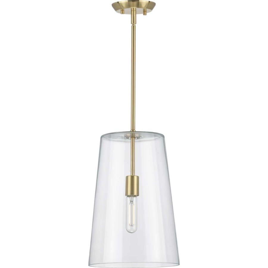 PROGRESS LIGHTING Progress Lighting P500242-009 Clarion Collection One-Light Medium Pendant