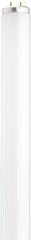 SATCO Satco S26565 F20T12/CW 20 Watt