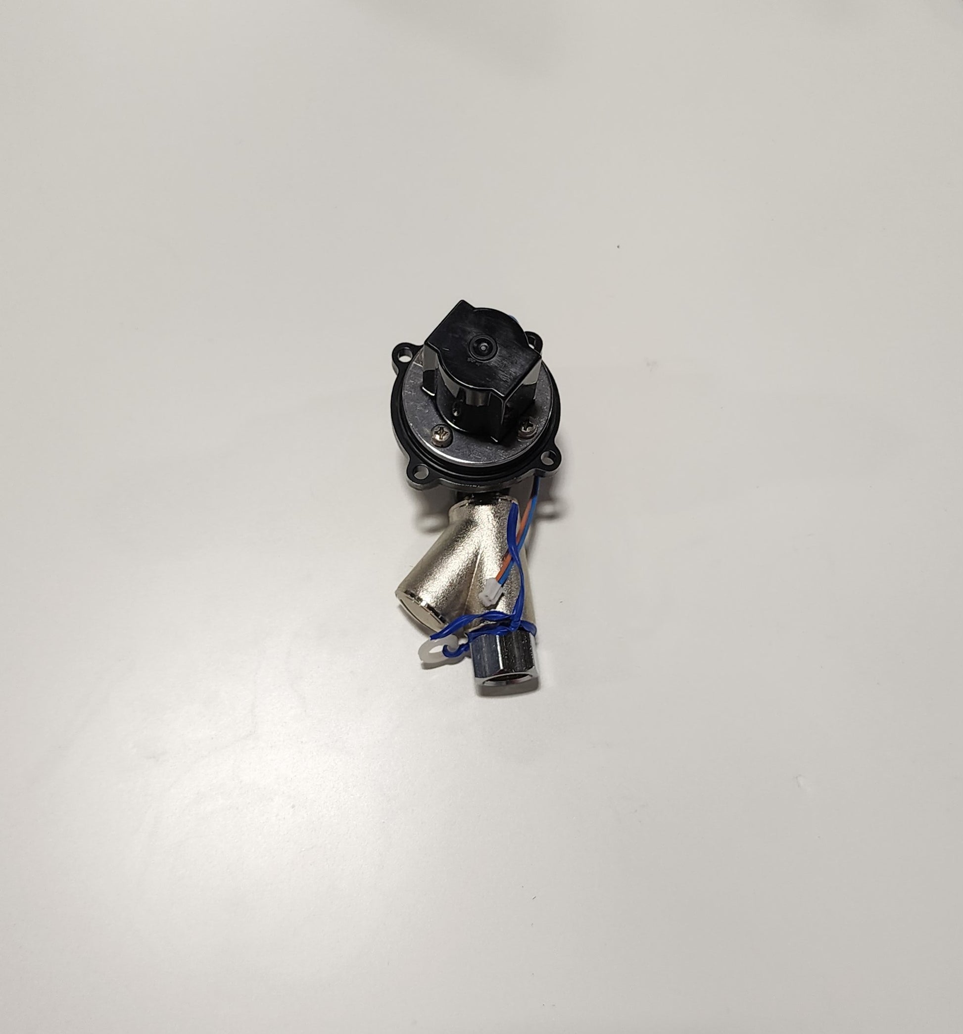 296443551.jpg