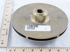 296443587.jpg