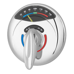 SYMMONS INDUSTRIES Symmons Industries 4-5000VT-X Visu-Temp Two Handle Pressure Balancing Valve Trim