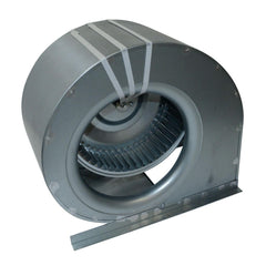 297090713.jpg