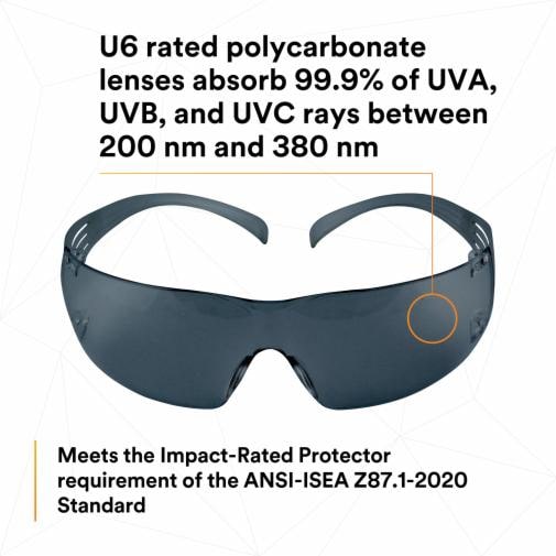 3M 3M SF202AFP SecureFit Protective Eyewear 20 EA/Case