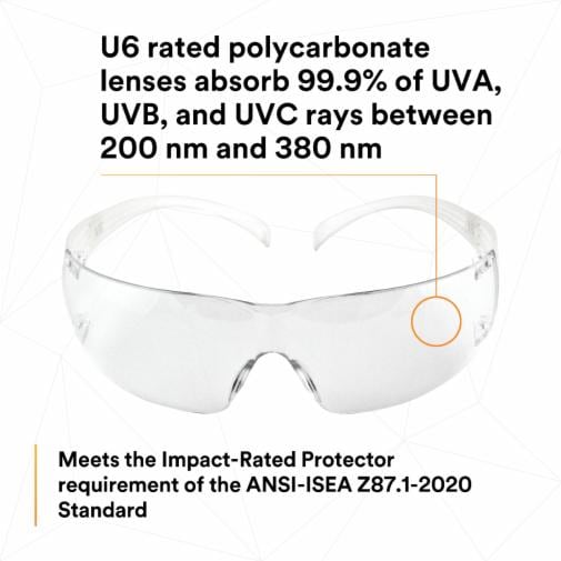 3M 3M SF201AFP SecureFit Protective Eyewear 20 EA/Case