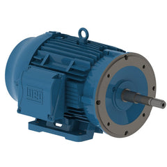 297720769.jpg