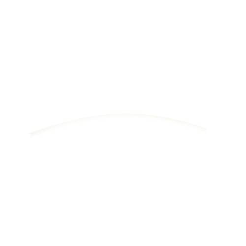 298081004.jpg