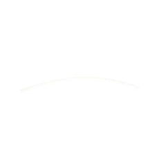 298081004.jpg