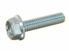 298081144.jpg