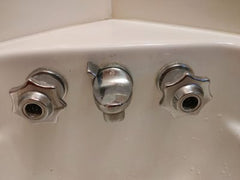 298149946.jpg