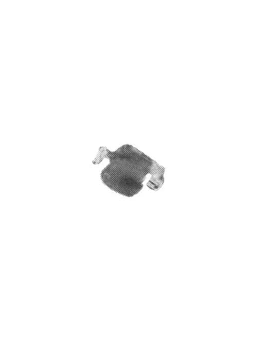 298225951.webp
