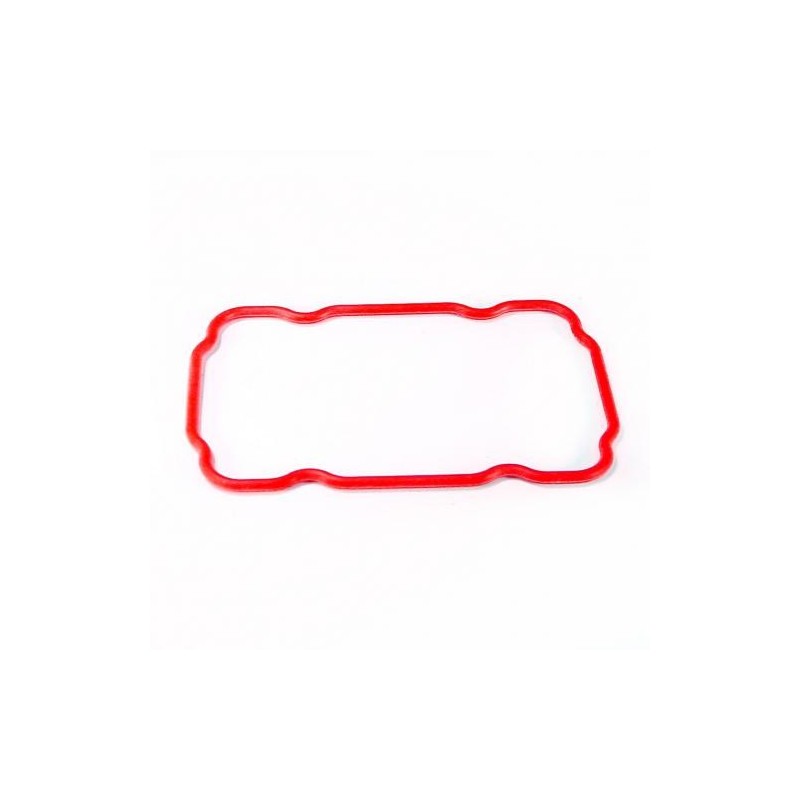 298688122.jpg