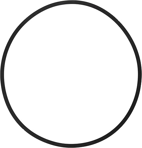 298690805.jpg