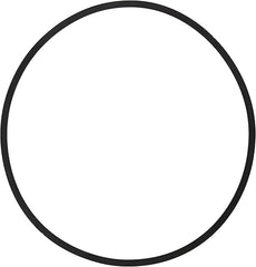 298690805.jpg