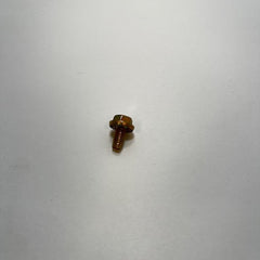 298691441.jpg