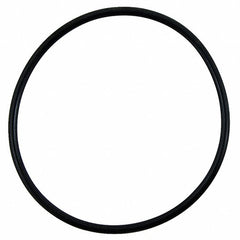 WATTS 390806 O-RINGS & GASKETS
