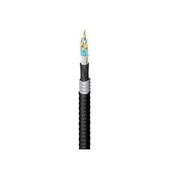 BELDEN Belden Inc. FD3D024FJ OM3 24-fiber Cable Assembly